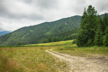 Pathway in beautiful natual surroundings.High quality photo