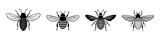 Fototapeta Motyle - Set beetles insect black silhouette animal. Vector Illustrator.