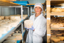 Skilled Cheesemaker Checking Aging Process Of Hard Goat Cheese In Special Maturing Chamber At Dairy..