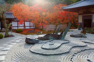 Wall Mural - Fall scenery of a Japanese rock garden (zen garden, dry landscape or karesansui) in morning sunlight, at Honryutei in Enkouji 圓光寺, a Buddhist Temple famous for its fiery maple foliage in Kyoto, Japan