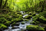 Fototapeta  - Beautiful natural scenery in the forest generative AI