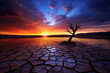 A lone tree standing in the rocky desert landscape at sunset