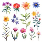 Fototapeta Sypialnia - Watercolor flowers. Set Watercolor of multicolored colorful soft flowers. Flowers are isolated on a white background. Flowers pastel colors.