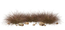 Isolate Savanna Dry Grass Meadow Shrubs With Rocks On Transparent Backgrounds 3d Render Png