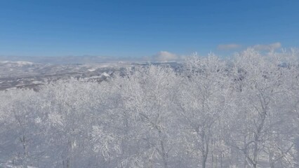 Wall Mural - looking down over icy trees and snowy winter landscape, hokkaido