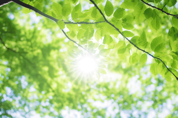 brilliant fresh greenery and sunshine filtering through foliage, generative ai