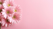Daisy Flowers On A Pink Background