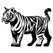 Tiger in different pose. The tiger stands, lies, walks, hunts. Animals of Asia. Panthera tigris. Big cats. Predatory mammals, an extinct animal