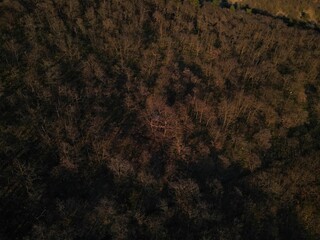 Sticker - Aerial view of a dense forest on a mountain