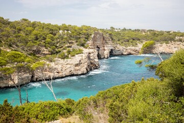 Wall Mural - rocky coastline on a clear day with lots of green trees