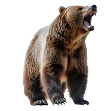 A Roaring Brown Bear Isolated On Transparent Background, Generative AI