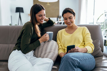 Wall Mural - Two smiling young women talking while watching smartphone sitting on couch in the living room at home.