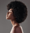 © HockleyMedia/peopleimages.com - Natural haircare, profile and black woman with afro hairstyle, beauty and skincare on grey background. Hair care, cosmetics and beautiful face of African model with skin glow and shine in studio.