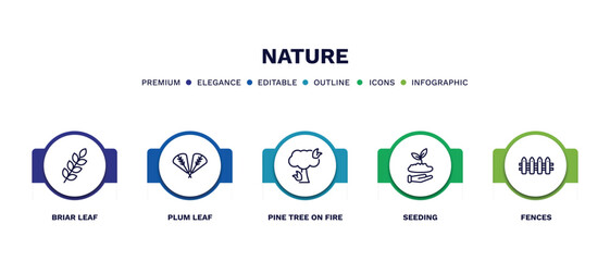 Sticker - set of nature thin line icons. nature outline icons with infographic template. linear icons such as briar leaf, plum leaf, pine tree on fire, seeding, fences vector.