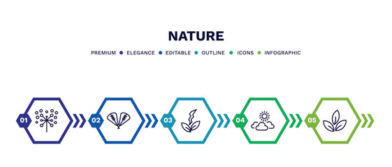 Poster - set of nature thin line icons. nature outline icons with infographic template. linear icons such as pollen, plum leaf, natural energy, sunny protic, tree leave vector.