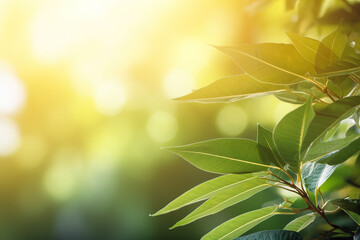 Wall Mural - Empty space surrounded by beautiful leaves with an empty backdrop and beautiful lighting and bokeh. Green leaves frame. Illustration, Generative AI.