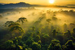 Dancing with Sunbeams: Aerial Elegance in the Amazon Rainforest. Generative AI