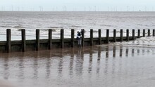Two Boys Playing On Wooden Wave Breaker Poles With Seagulls,