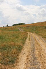 A dirt road in a field