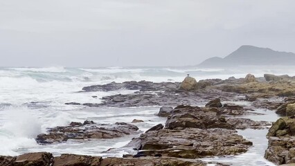 Wall Mural - Rough waves crashing against coastal rocks at Misty Cliffs Scarborough Cape Town, South Africa