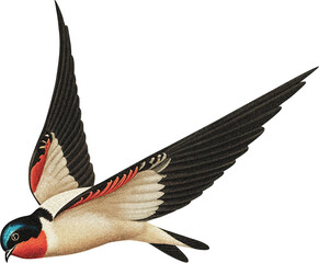 Swallow isolated on transparent background, old-style illustration with grain