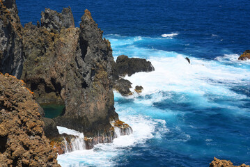 beautiful nature Canary Islands, Tenerife