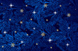 Winter background with pine branches on dark blue background. White stars and golden snowflakes on blue