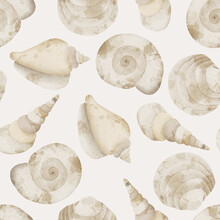 Watercolor Seashells Hand Drawn Abstract Seamless Pattern