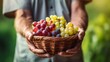 farmer hands with basket of grapes in hands, generative ai