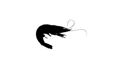 shrimp silhouette