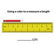 © Udayakumar - Measuring length in centimeters pencil. with the ruler. Education developing worksheet. Game for kids. Puzzle for children. Vector illustration. cartoon style.