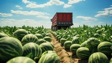 Truck With Watermelons On The Field In Summer. Generative AI.