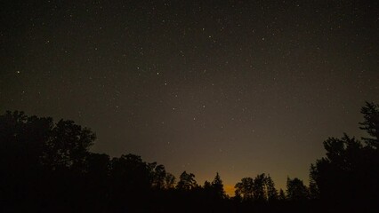 night sky over forest in 4k time lapse.