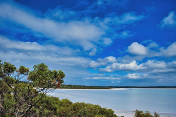 Wall Mural - The Pink Lake in Esperance, south coast of Western Australia, surrounded bij coastal vegetation. The lake has lost its pink colour due to salinity changes.
