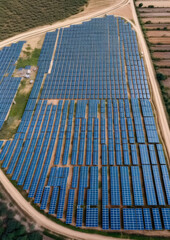 Wall Mural - solar panels plant, aerial view - rows of photovoltaic cell collectors on a landscape. green energy 