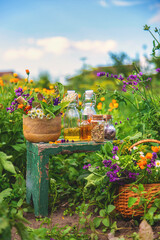 Wall Mural - Plants and herbs, nature, alternative medicine. Selective focus.