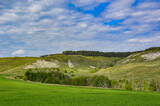 Fototapeta Dmuchawce - A walk on a sunny summer day on the chalk hills