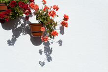 Red And Pink Flowers On Brown Pots Hanging From The White Walls. European Aesthetic Plants Give Off A Summer Vibe.