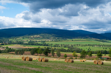 Wall Mural - roll of hay lying on the background of a beautiful landscape