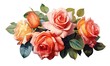 Bouquet of garden roses, vector style, isolated on white background