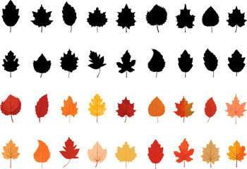 Fototapete - Set of autumn leaves.Colorful and black leaf icons collection. Watercolor autumn leaves.Maple leaf.Black siihouette leaf icons collection.