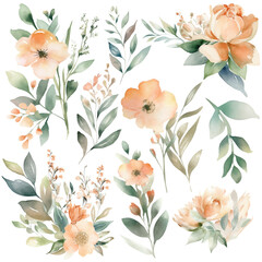 Wall Mural - Watercolor Flower Collection: Peach Floral Illustrations for Simple and Elegant Bridal Designs, Wallpaper, Greetings, Wallpapers, Fashion