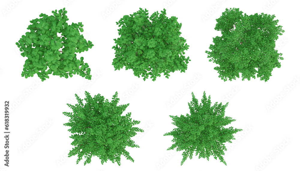 Tree 2d Renders Green trees on top view isolated on transparent background, 2d plants ...