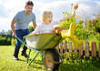 © Maria Sbytova - Happy little boy having fun in a wheelbarrow pushing by dad in domestic garden on warm sunny day. Active outdoors games for kids in summer.