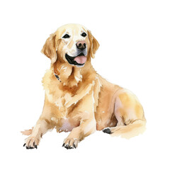 Wall Mural - golden retriever puppy watercolor isolated on transparent background cutout