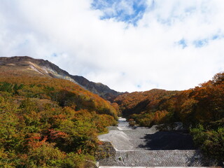 Poster - Mt Daisen, the marvelous scenery at Japan’s third national park