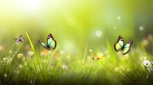 Abstract Natural Background With Butterflies And Green Grass Created With Generative AI 