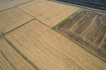 Wall Mural - aerial view from flying drone of Field rice with landscape green pattern nature background, top view field rice