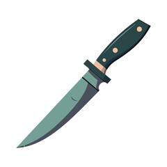 Sharp steel blade, kitchen knife