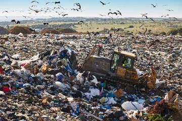 Wall Mural - Heavy machinery shredding garbage in an open air landfill. Pollution